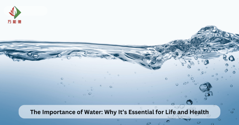 The Importance of Water Why It’s Essential for Life and Health
